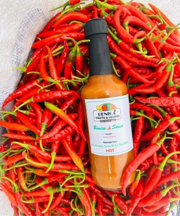 Benica Hot🌶️Sauce 750ml x10